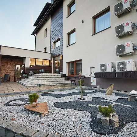 Old Tree & Restaurant Hotel 3*