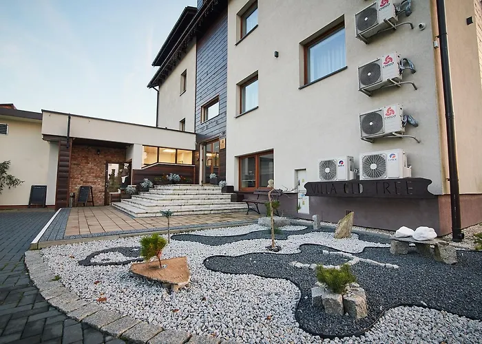 Old Tree & Restaurant Hotel 3*